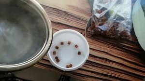 Чистка пластиковых мисочек для вывода маток