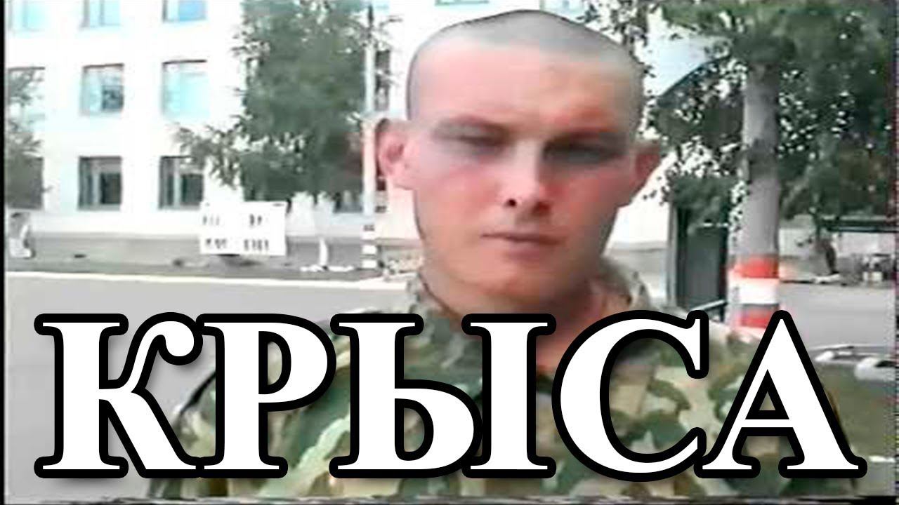 КРЫСА И ВОРОВСТВО В АРМИИ смотреть онлайн