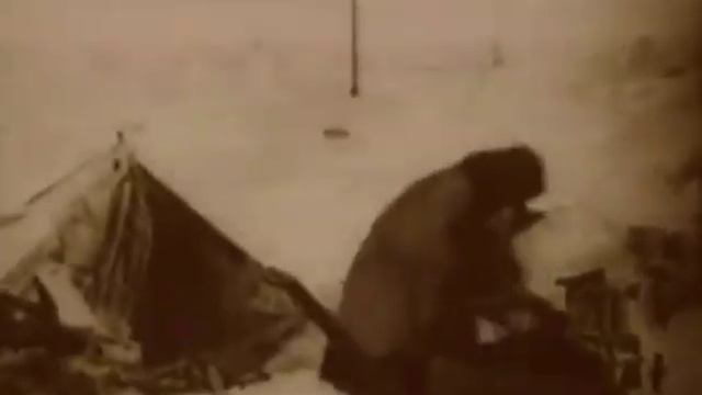 Челюскинцы