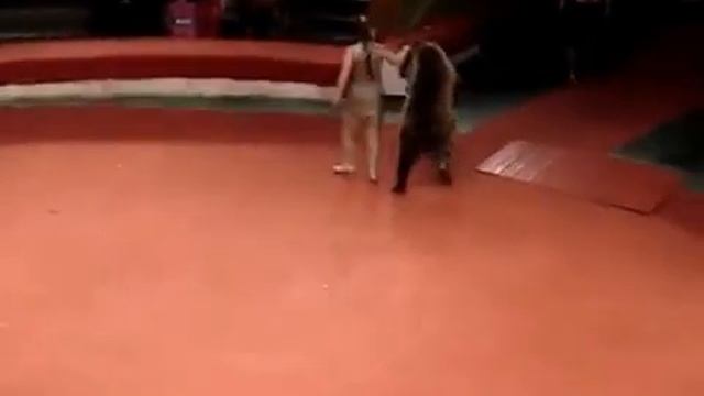 Медведь напал на дрессировщицу! the bear attacked the girl the trainer смотреть онлайн