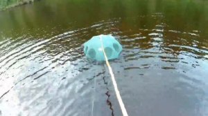 Гольян на раколовку гармошка.