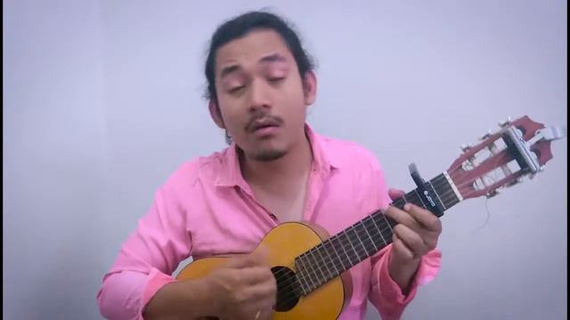THE BEATLES - TILL THERE WAS YOU (cover) смотреть онлайн