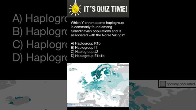 Viking Haplogroup смотреть онлайн