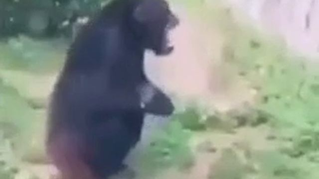 Кусь за палец смотреть онлайн