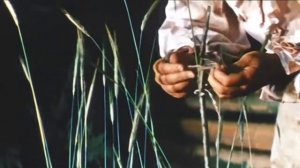 Копия видео "Жизнь и Удивительные Приключения Робинзона Крузо 1972 1"