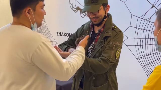 Выставка пауков, @znakomstvo_s_paukami