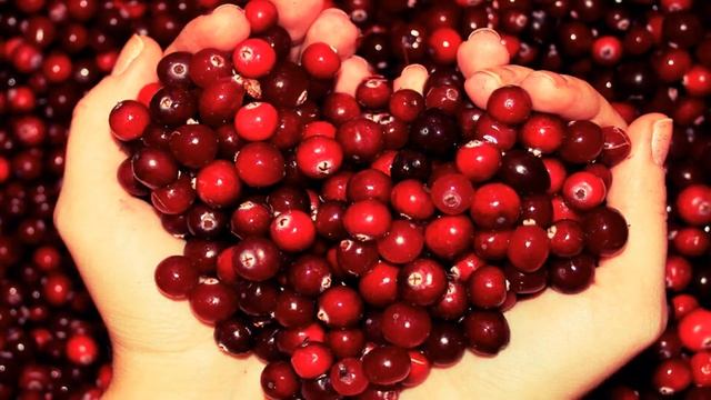 Рецепты для гурманов 