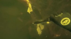 Что рыболовы оставляют на дне. Находки под водой.