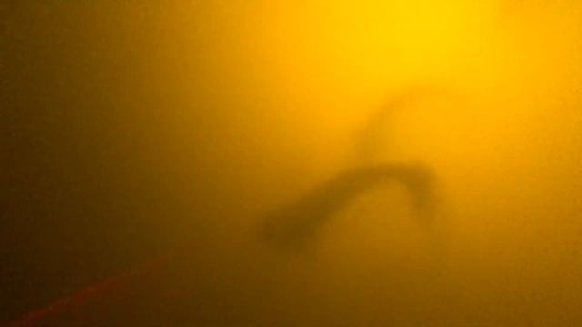 ПОДВОДНАЯ ОХОТА НА ТОЛСТОЛОБИКА И СОМА!!! смотреть онлайн