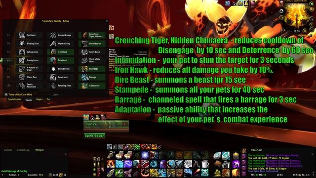 WOW 6.2.4 Beast Mastery Hunter (Talent, glyphs and Stat priority) смотреть онлайн