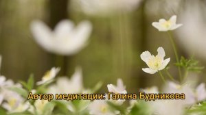 Медитация Исцеление внутреннего ребенка