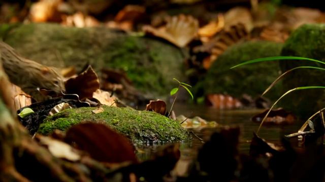 Как найти идеи на чём зарабатывать деньги | ДВА ЖЕЛЕЗОБЕТОННЫХ СПОСОБА смотреть онлайн