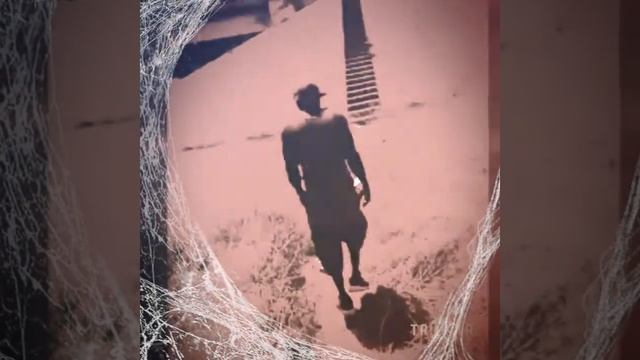 FONEY!!!!! смотреть онлайн