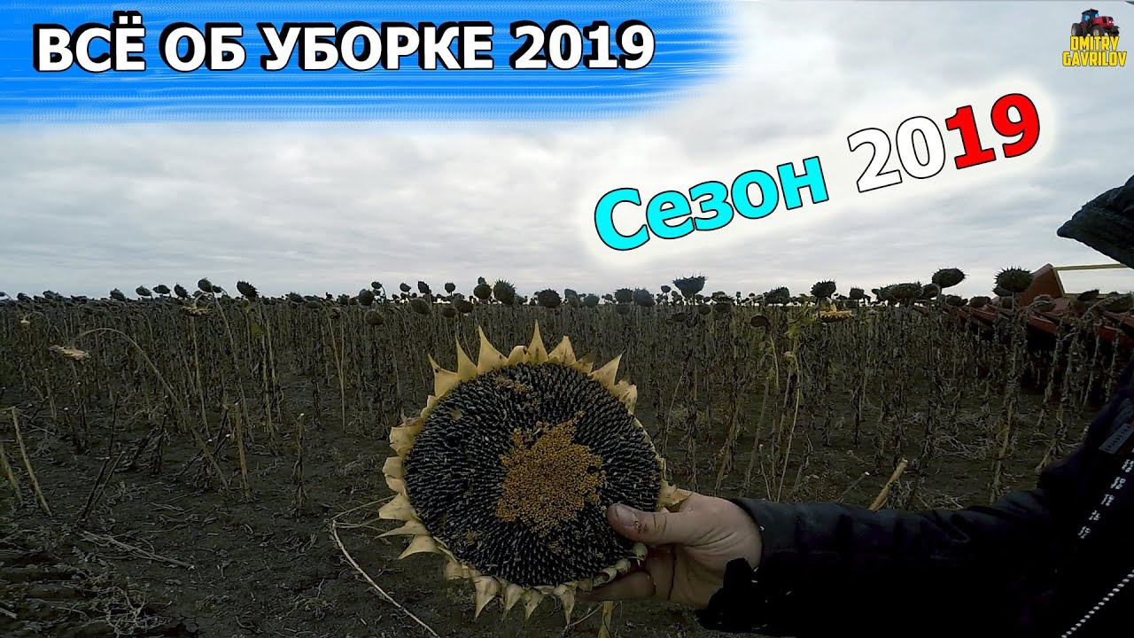 ЧТО ПО ПОДСОЛНЕЧНИКУ? И КАК ПРОШЕЛ СЕЗОН 2019?