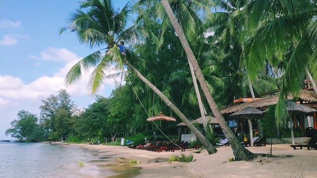 How To Pick Coconuts - Как собирают кокосы