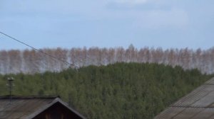 мотоблок мб 75А, кама, 8 л/с