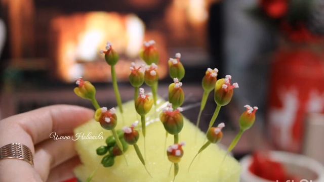 рождественская звезда(пуансеттия) в процессе создания смотреть онлайн