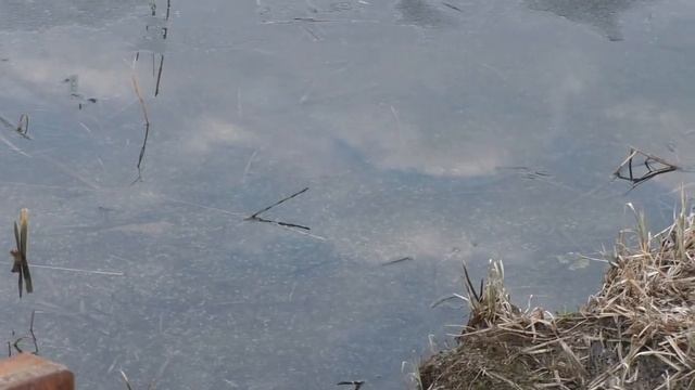 От добра не жди бобра смотреть онлайн