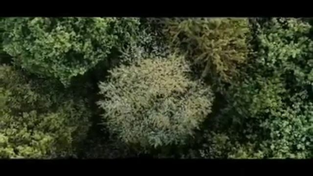 Кайбыч имәнлеге. 🍀🍀🍀Кайбицкие дубравы смотреть онлайн
