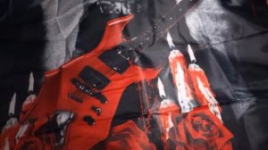 W.A.S.P. - Re-idolized