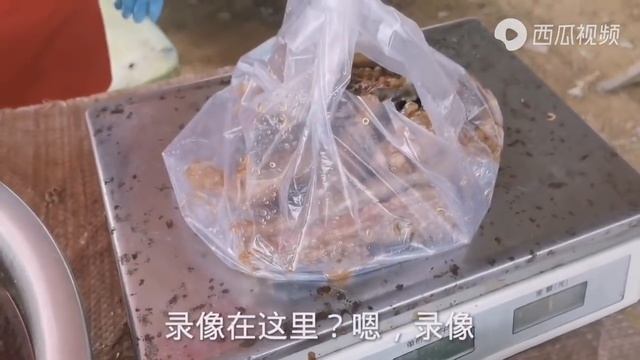 Сколько стоит собачатина в Китае? Фестиваль собачьего мяса смотреть онлайн