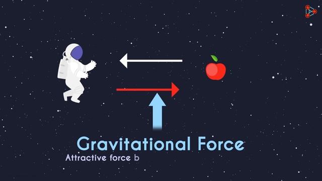 What is Gravity? | Physics | Gravitation | Don't Memorise смотреть онлайн