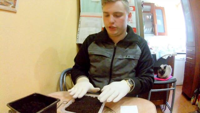 Как правильно сажать помидоры?! Сажаем помидоры правильно! смотреть онлайн