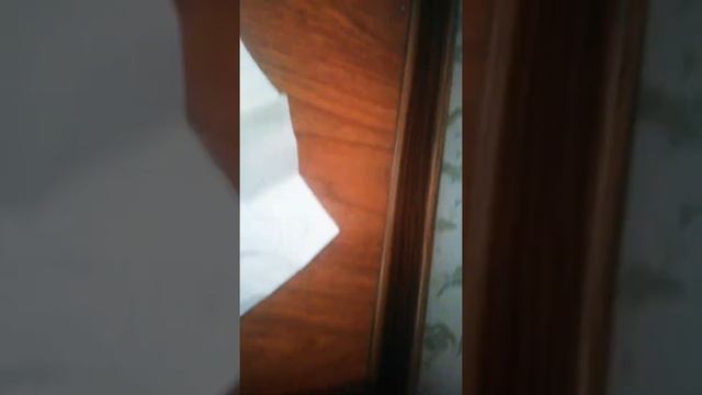 Распаковка двух изданий поющей и танцующей игрушки - лягушки от 1toy.