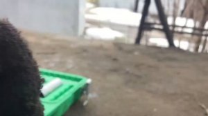 Замена подушек двигателя lanos sens или как побороть вибрацию