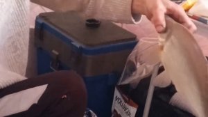 Наконец-то съездили на рыбалку, рыбачили в Сов Хакасии