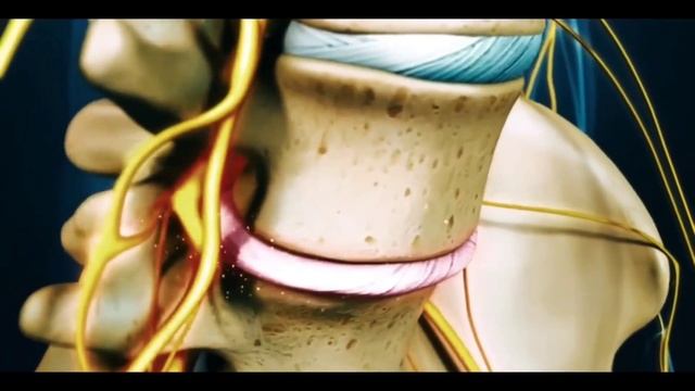 Почему уменьшается рост человека? | ПОЛЕЗНЫЙ ЮТУБ смотреть онлайн