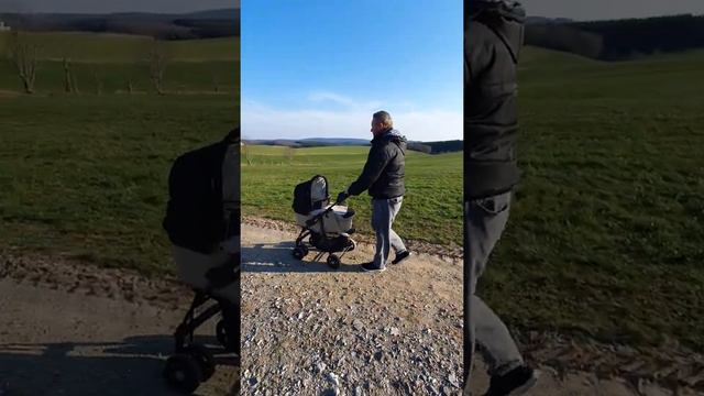 Ярослав вышел гулять в 2 месяца. Во время пандемии. смотреть онлайн