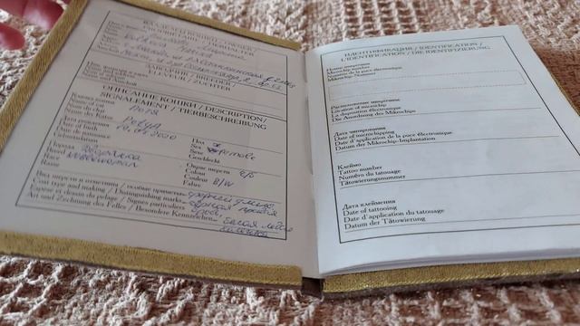 Творческий Подход