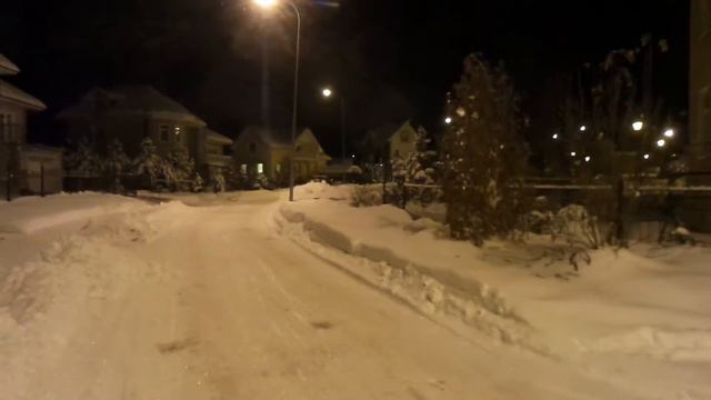 Вечерняя прогулка по Лесной поляне и блестящему снегу. Вики Сара смотреть онлайн