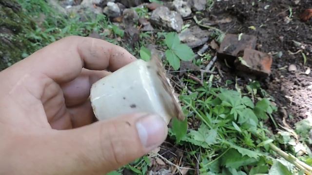 ОНИ ПРОЛЕЖАЛИ В ЗЕМЛЕ БОЛЬШЕ 100 ЛЕТ!!! смотреть онлайн