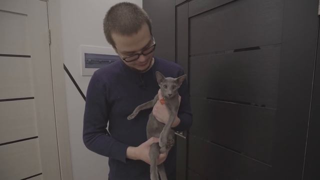 ДОМ БУЛКИНА! - РУМ ТУР ПО ВСЕМУ ДОМУ! смотреть онлайн