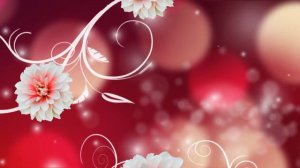 Video Background HD 1080. Цветочный Футаж-фон