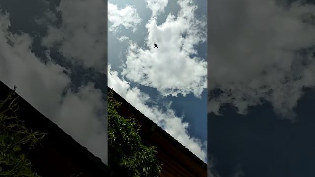 Внуково. Когда дача рядом с аэропортом. смотреть онлайн