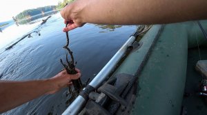 ЗАЦЕПИЛСЯ ЗА ТРОС, ПОТЯНУЛ ЗА НЕГО, А ТАМ...! Рыбалка на спиннинг, жерех в   2022