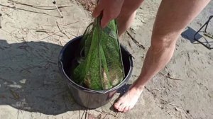 СЕМЕЙНЫЙ ОТДЫХ С ПАЛАТКОЙ  И РЫБАЛКА НА РЕКЕ ОБЬ В ИЮЛЕ. ВАРИМ УХУ, ЖАРИМ МЯСО НА УГЛЯХ,  КУПАЕМСЯ.