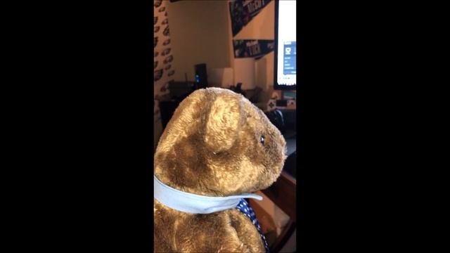 Paginated Report Bear has a dream смотреть онлайн