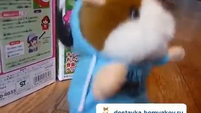 Говорящий хомяк-реппер! НОВИНКА!!! Купить говорящего хомяка: dostavka-homyakov.ru смотреть онлайн