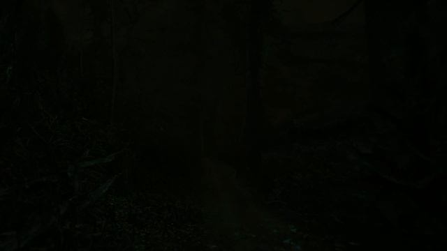 The Cursed Forest прохождение 2 смотреть онлайн