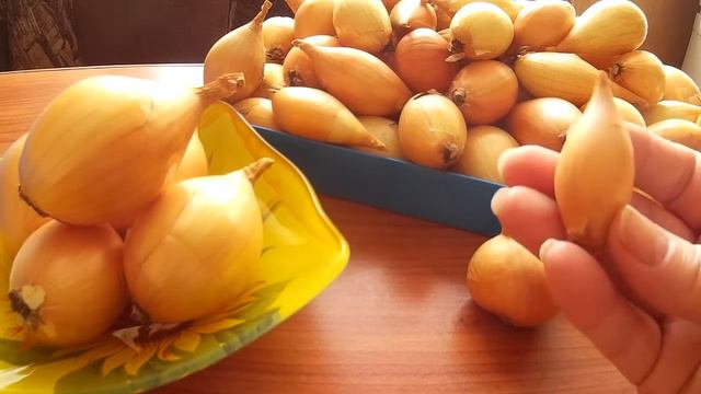 Семейный лук. смотреть онлайн