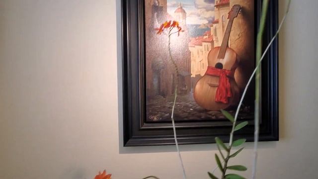 Эпидендрум, Дендробиум, Брассия, Сказка и другие цветущие красавцы. Октябрь 2022 смотреть онлайн