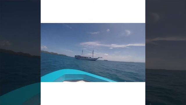 Palau 2019 смотреть онлайн