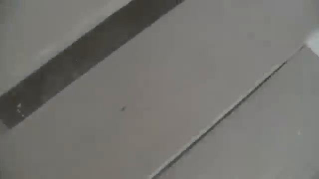 Scientology "Squirrel Busters" harassing Marty Rathbun смотреть онлайн
