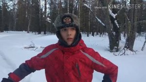 Мотобуксировщик Pomor 500