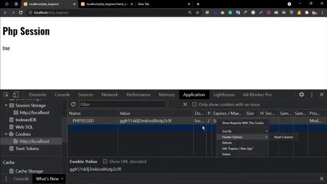 Php Session in Bangla | PHP Tutorial For Beginners | (part 26). смотреть онлайн