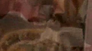 Бедная Настя_Анна и Владимир_Мне не жаль